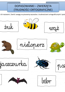 Okładka produktu