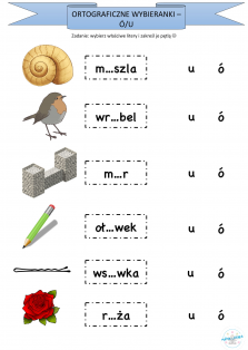 Okładka produktu