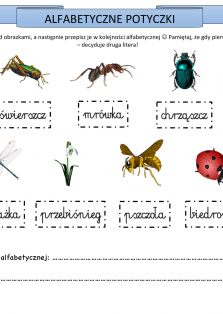 Okładka produktu