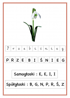 Okładka produktu