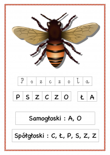 Okładka produktu