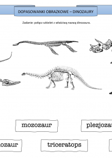 Okładka produktu