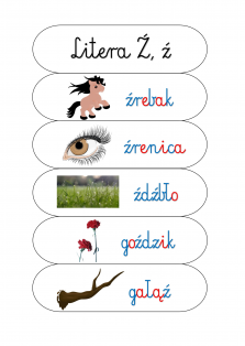 Okładka produktu