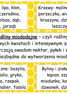 Okładka produktu