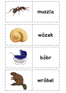 Okładka produktu