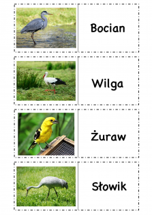 Okładka produktu