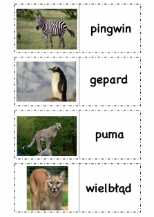 Okładka produktu