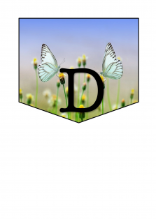 Okładka produktu