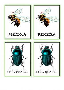 Okładka produktu