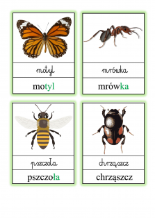 Okładka produktu