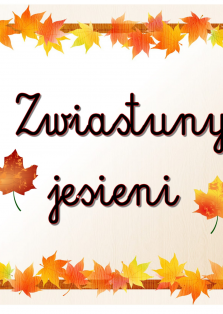 Okładka produktu